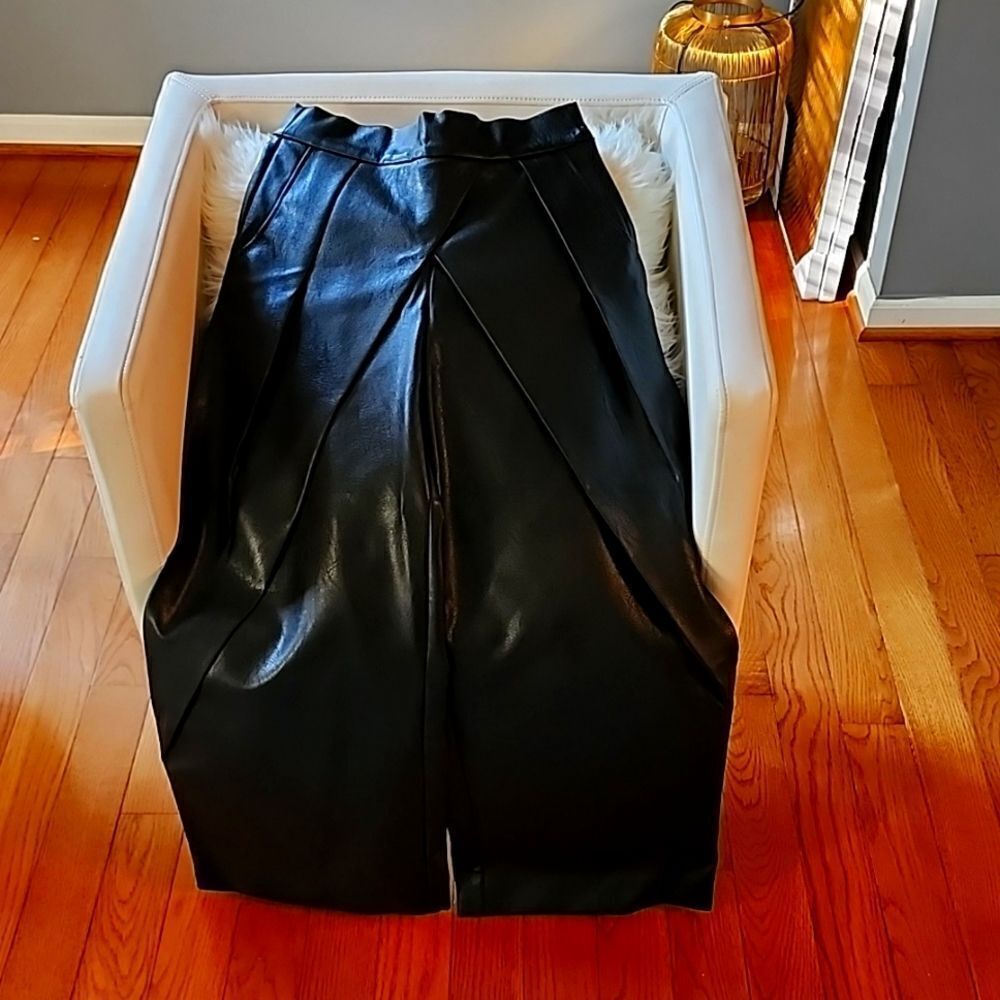The kemist faux leather pants sz8